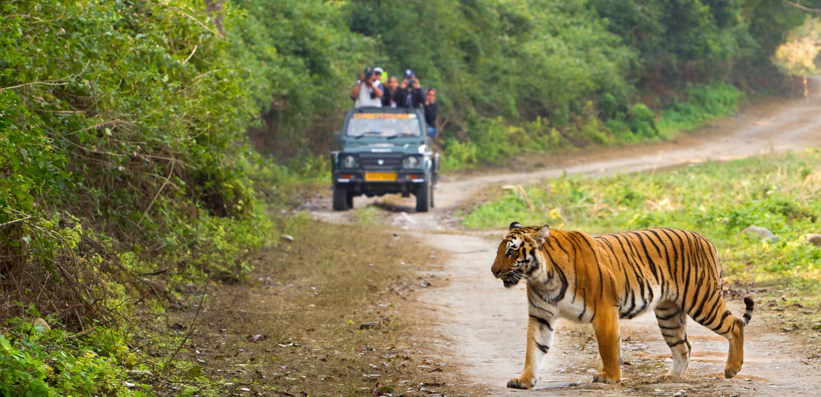 Corbett Honeymoon Tour